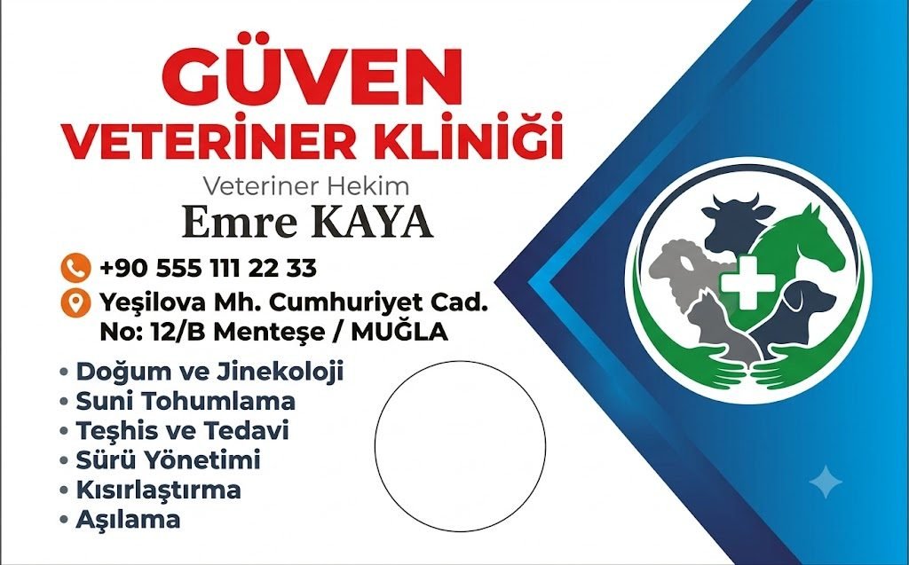 Veteriner kliniği kartvizit tasarım örneği — beyaz zemin, mavi diyagonal blok, hayvan figürlü logo